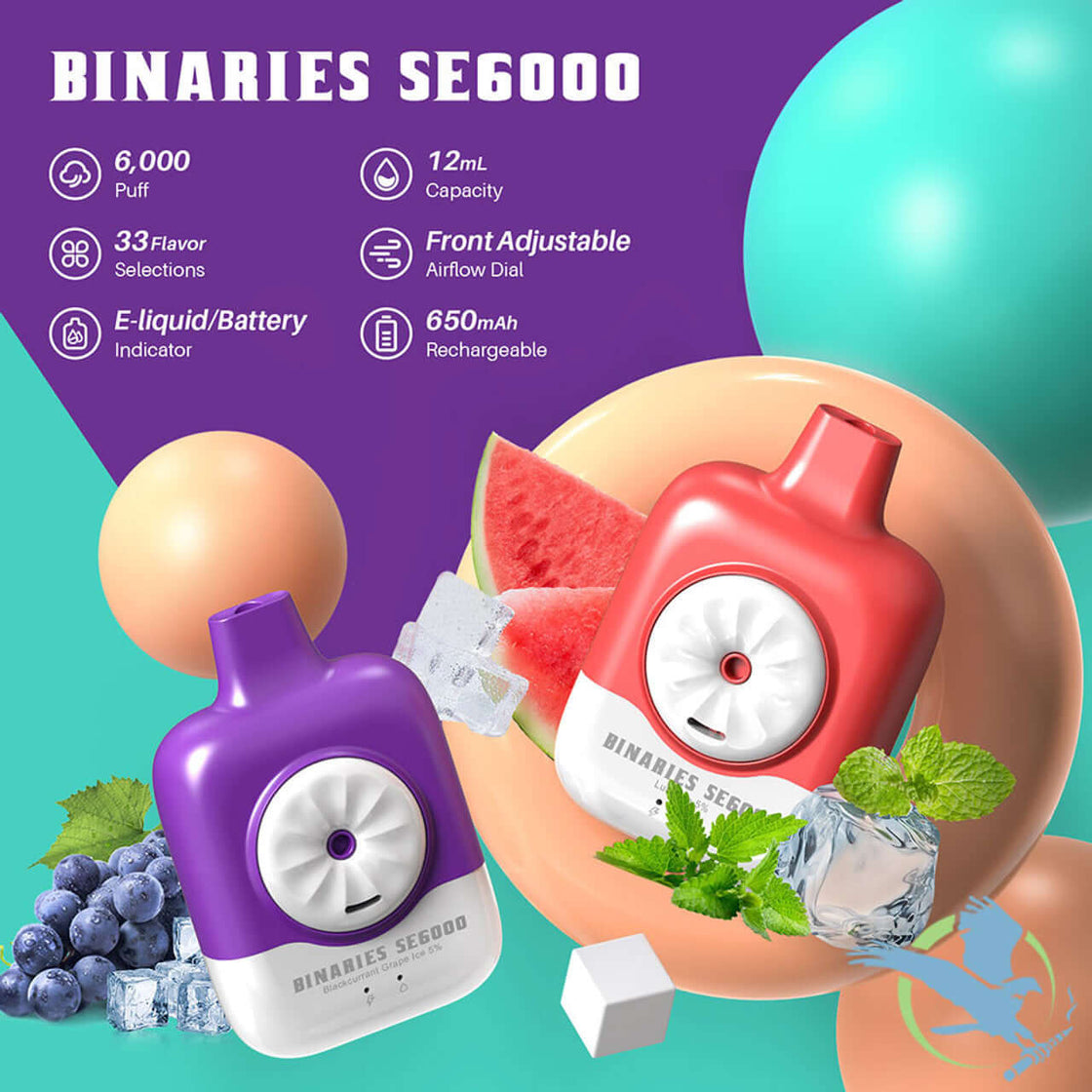 BINARIES SE6000